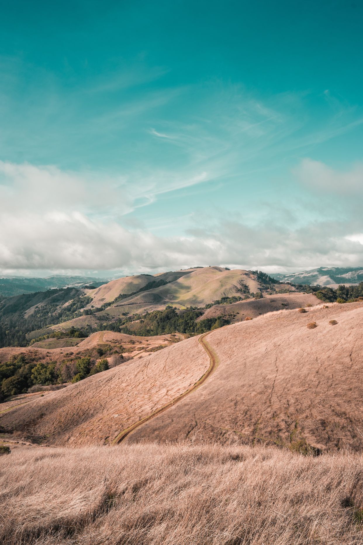 Ridge Trail View