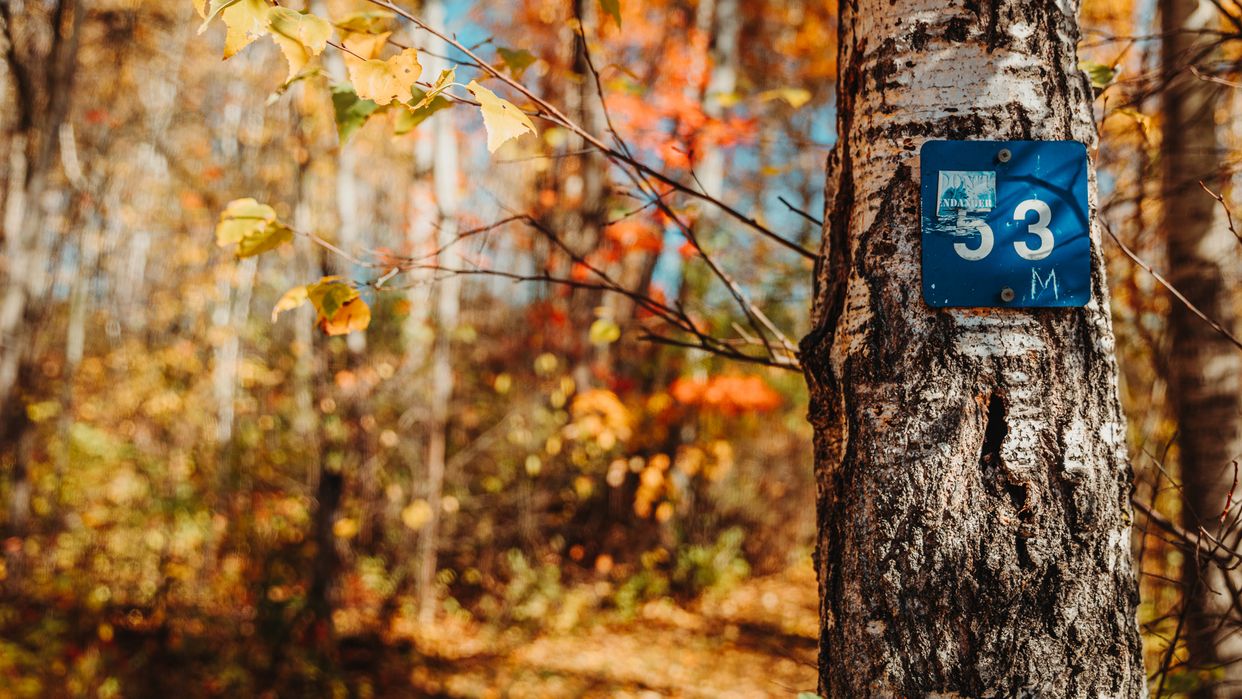 Greenbelt Trail