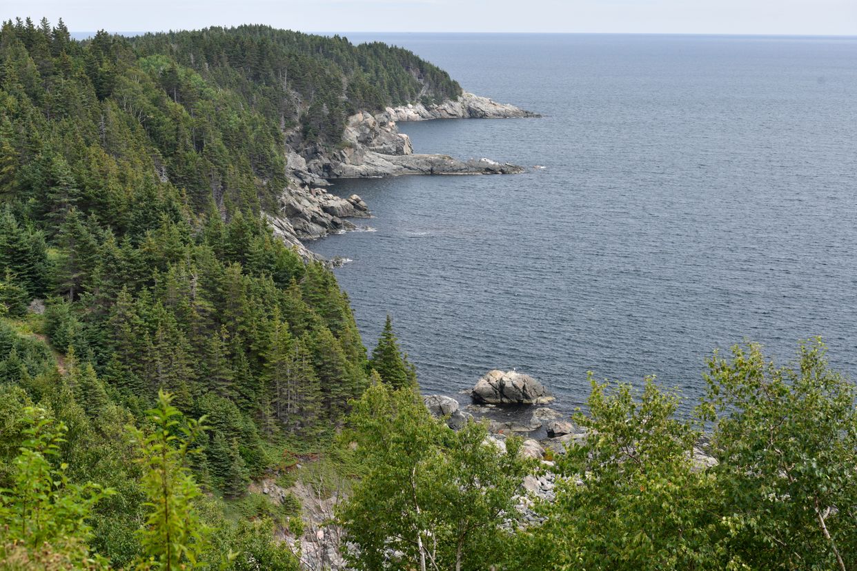 Cape Breton Ocean View