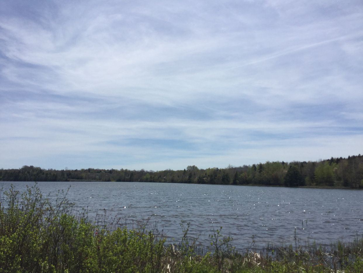 First Lake Gazebo View 