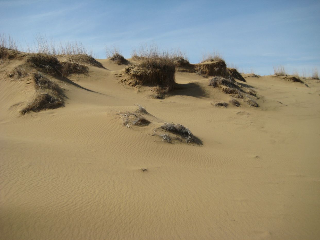 Spirit Sands