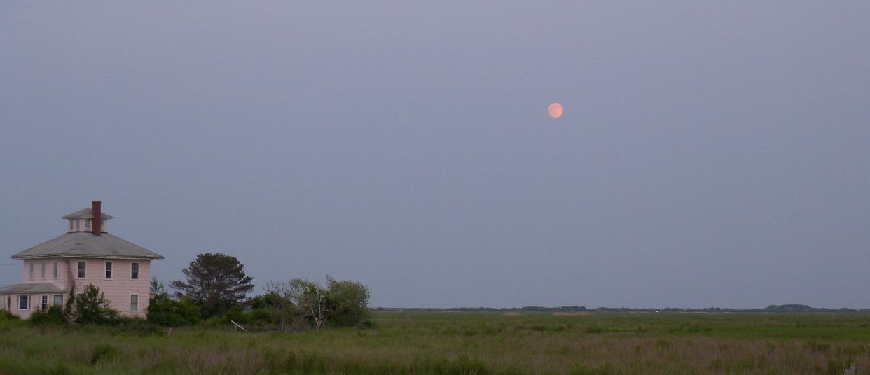 Plum Island Pink House