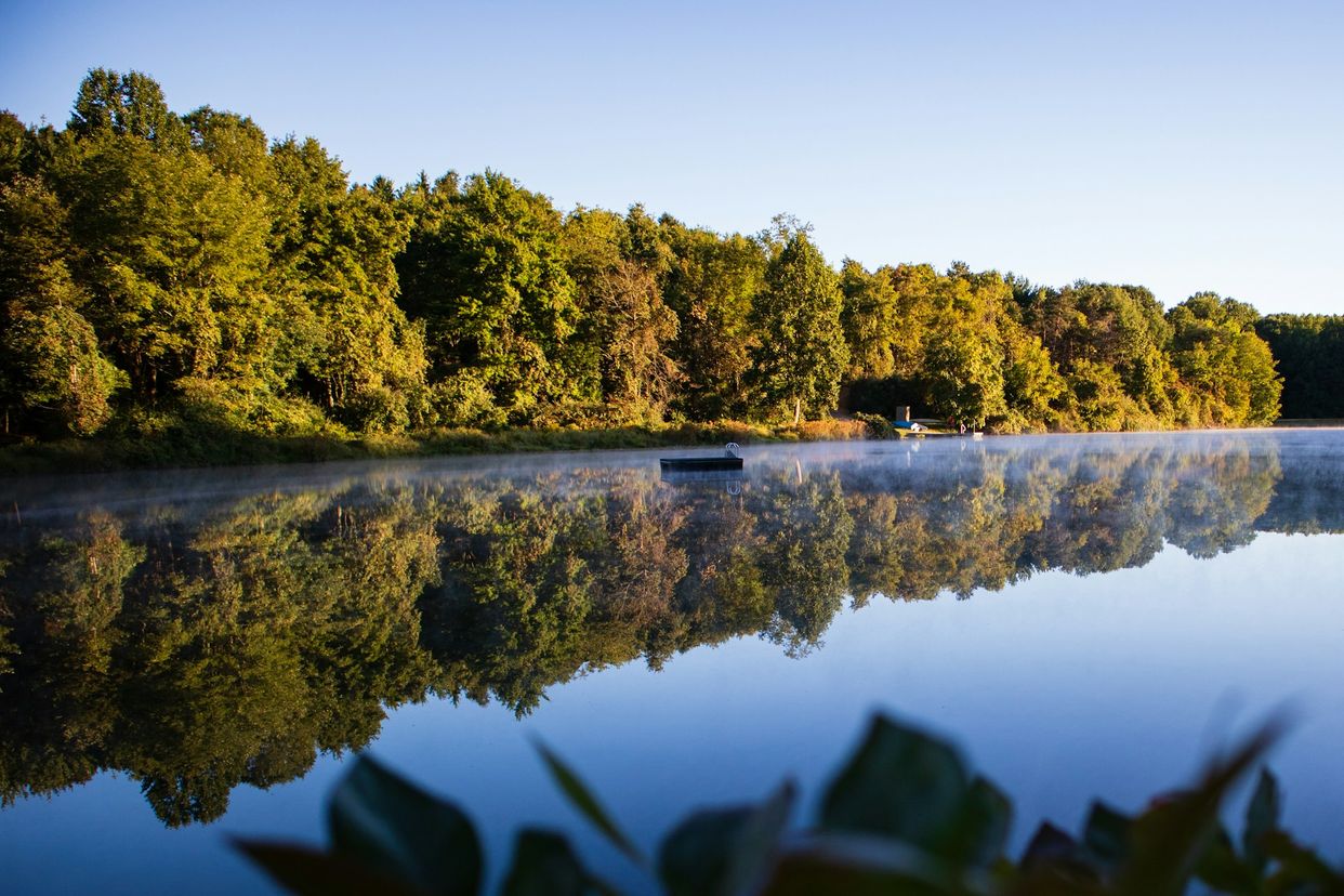 Lake Heron