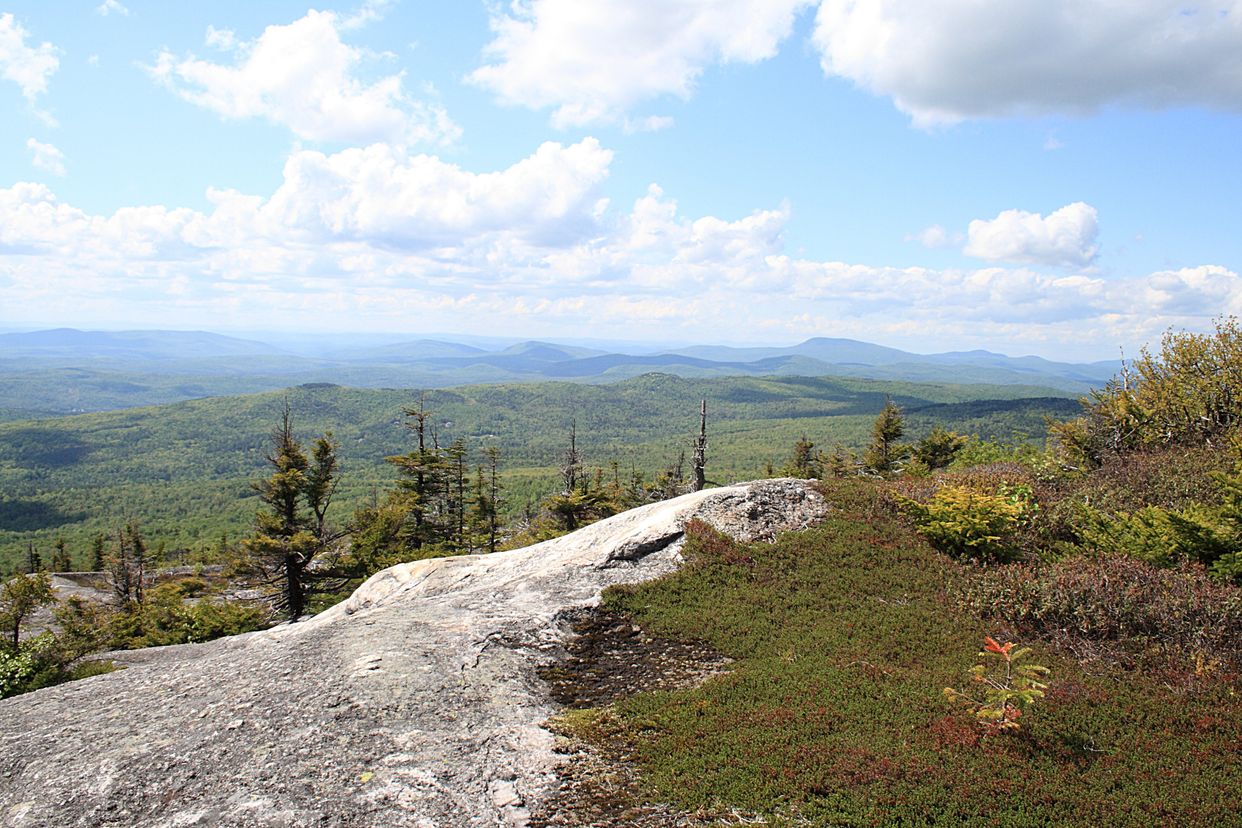  Mount Cardigan View