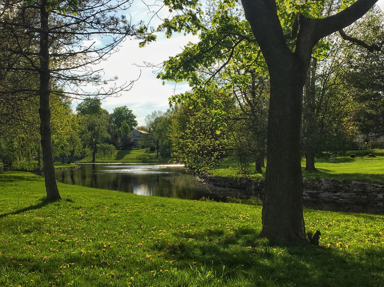 Perth Park