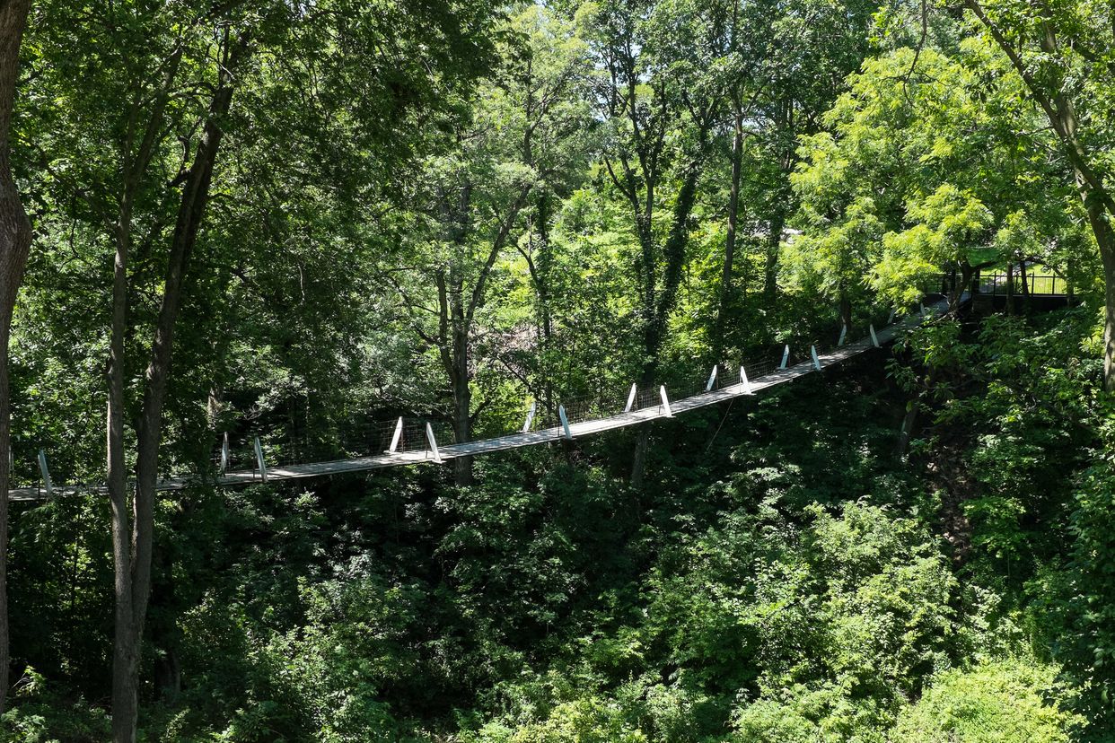 Lover's Leap Swinging Bridge