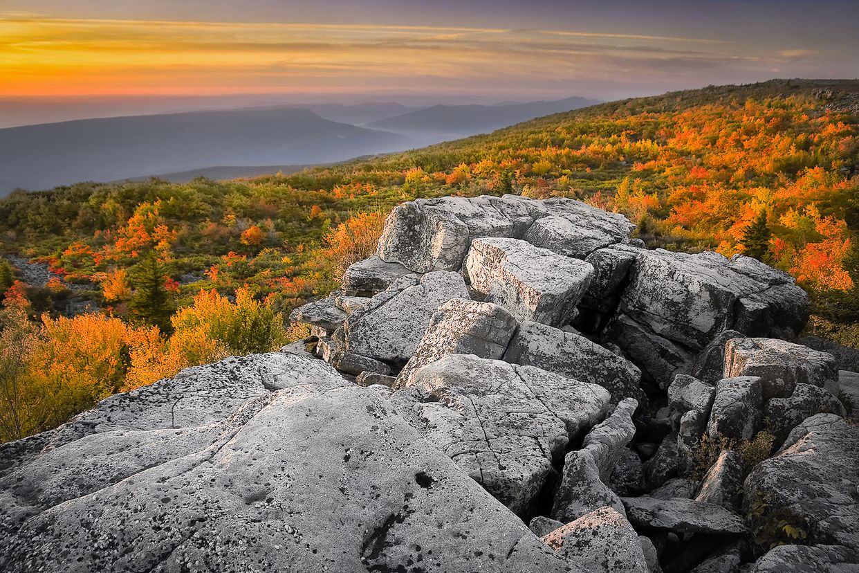 Dolly Sods View