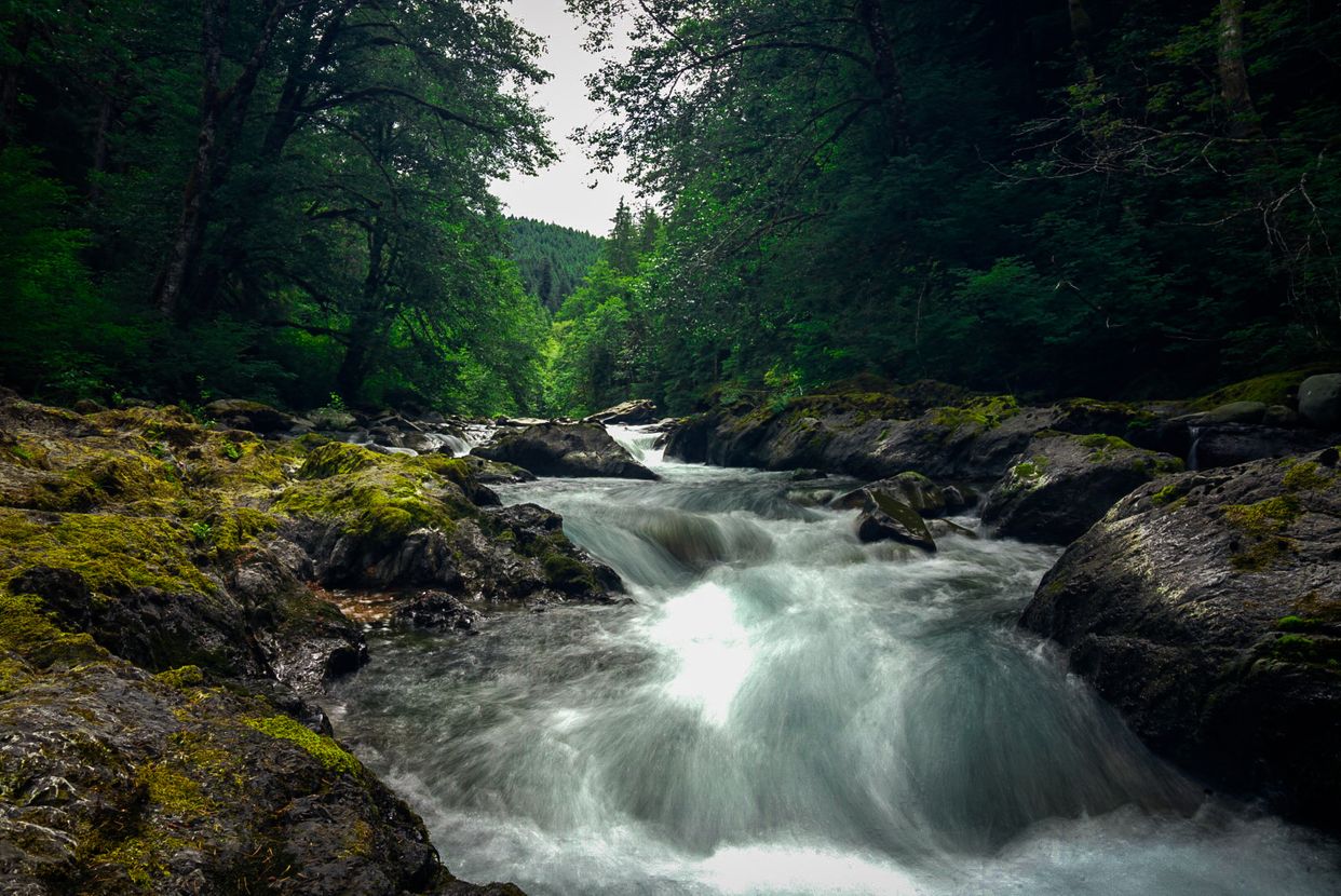 Salmon Cascades Trail