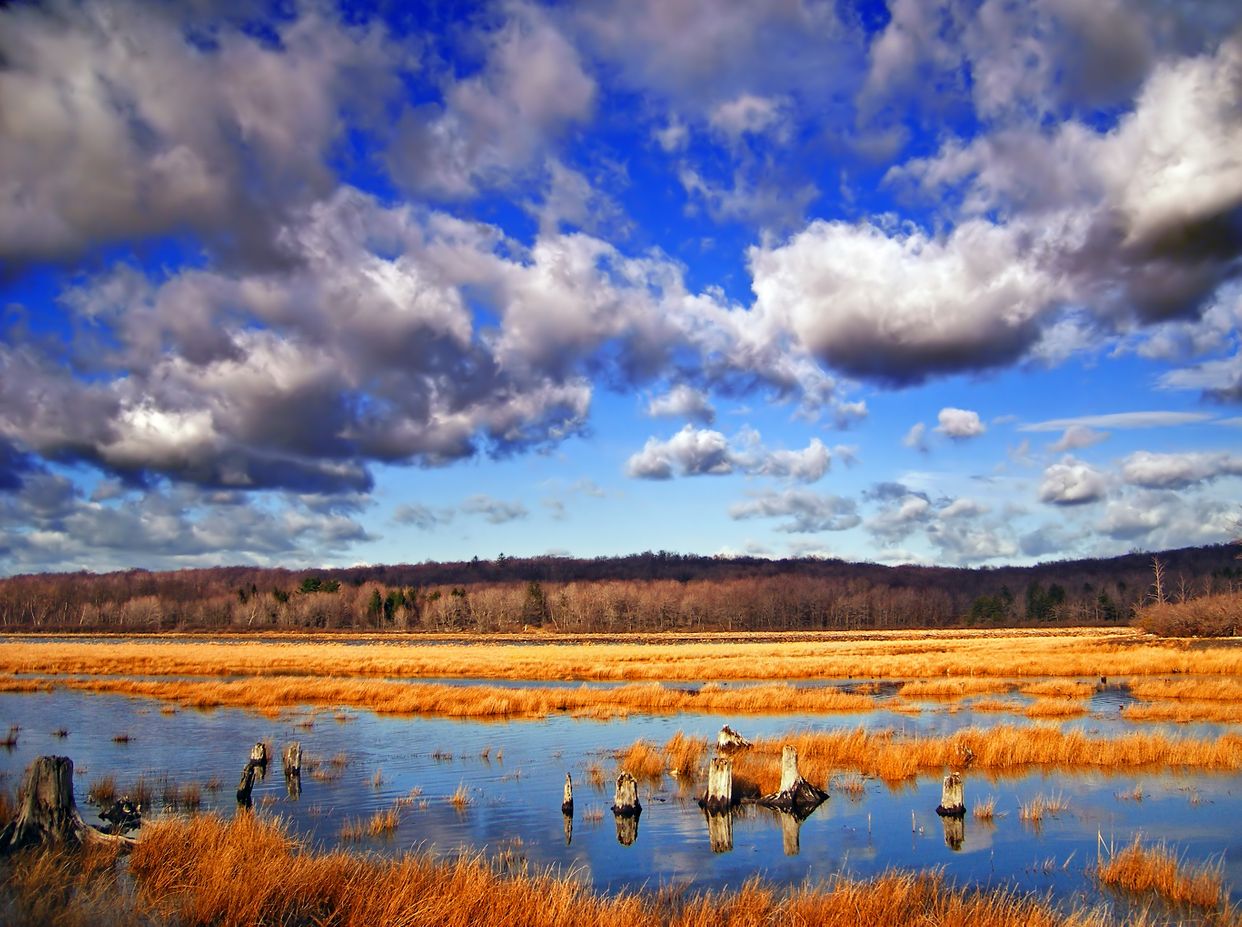 Gouldsboro Lake