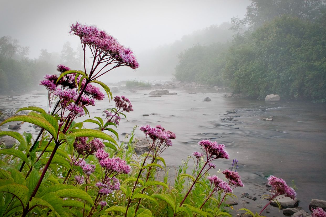 Blackwater River
