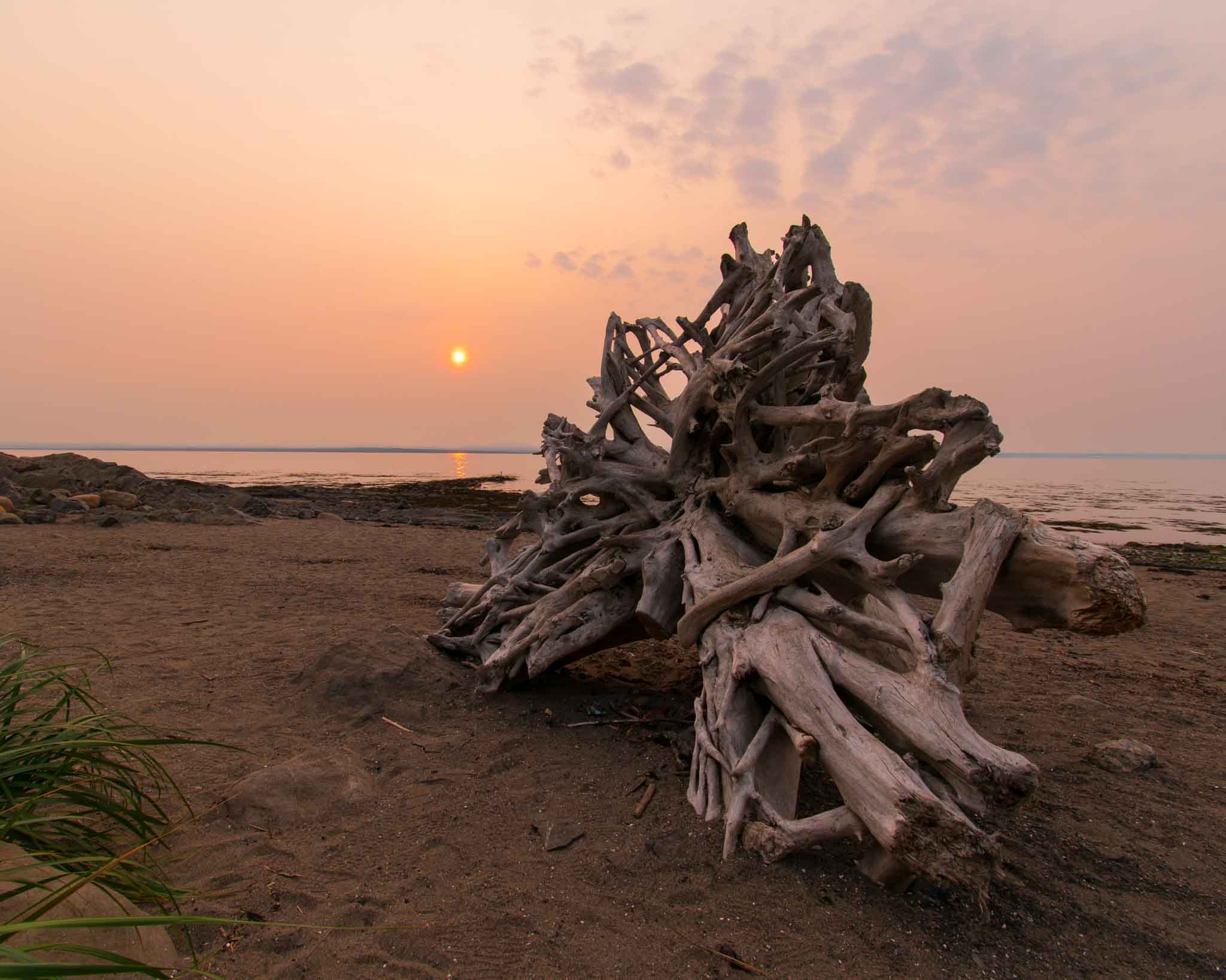 Park De La Pointe — Photo by Mike Mulligan