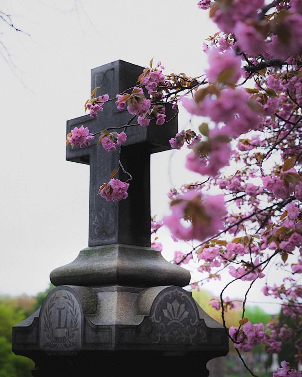 Congressional Cemetery
