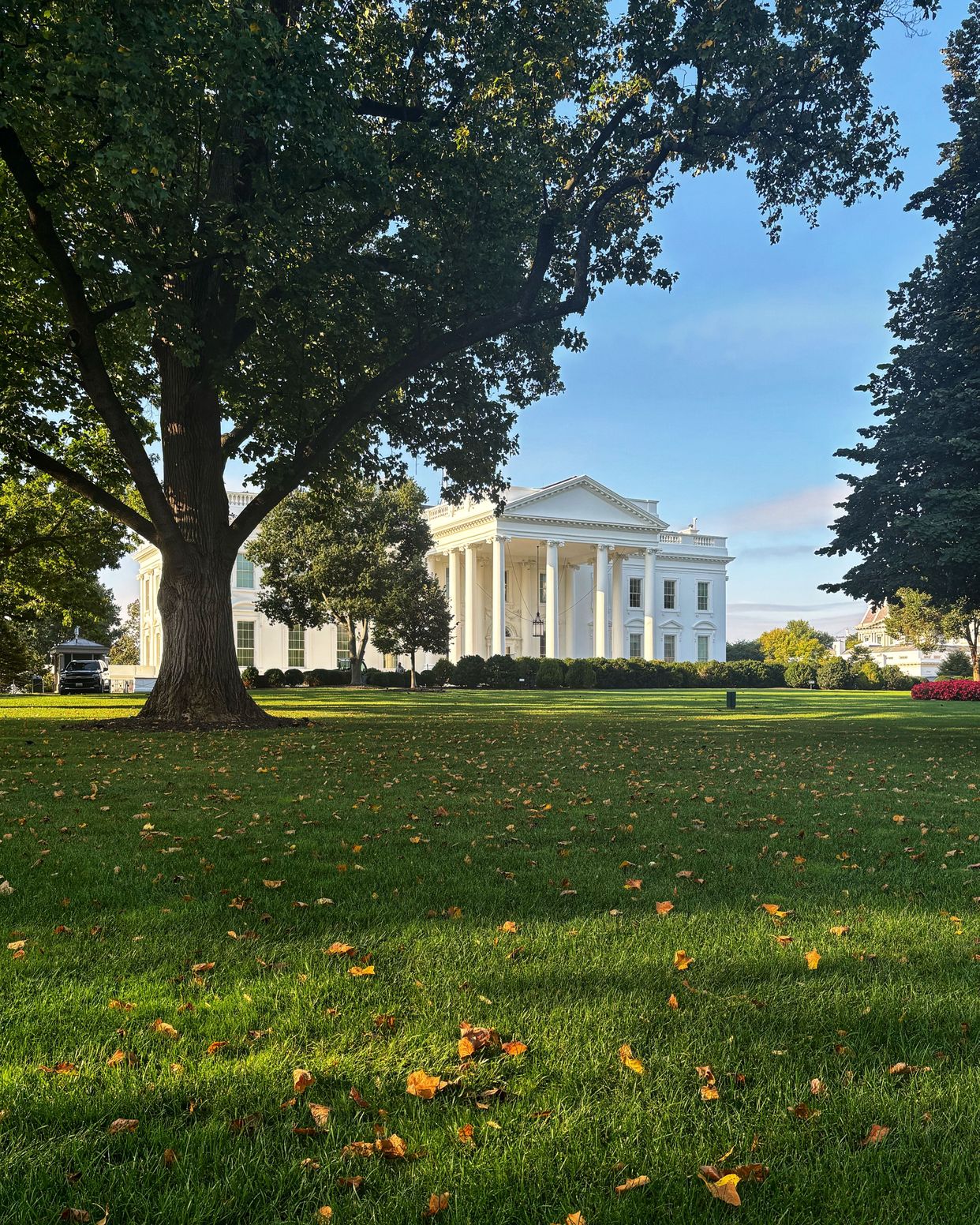 Lafayette Square
