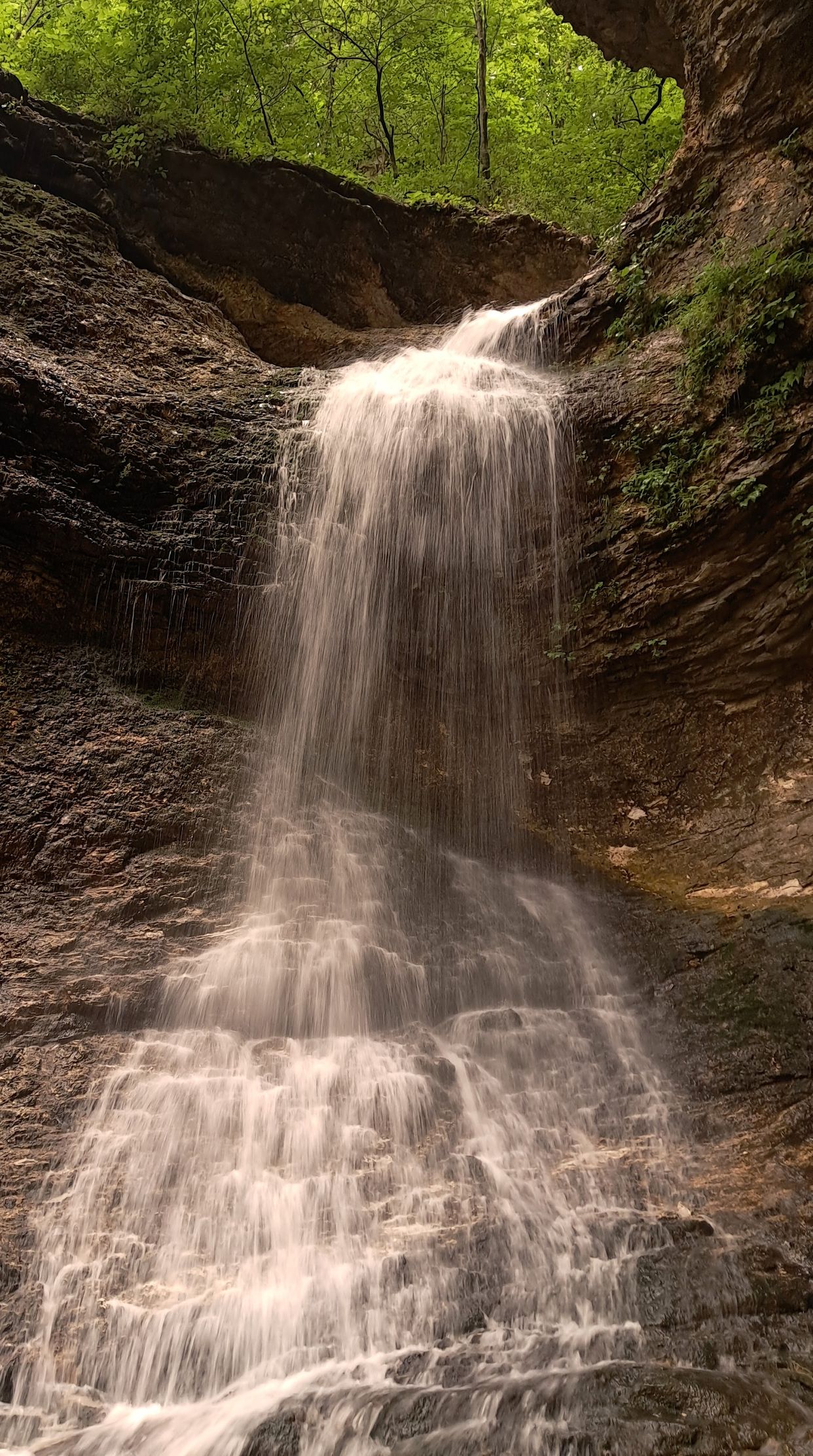  Eden Falls 