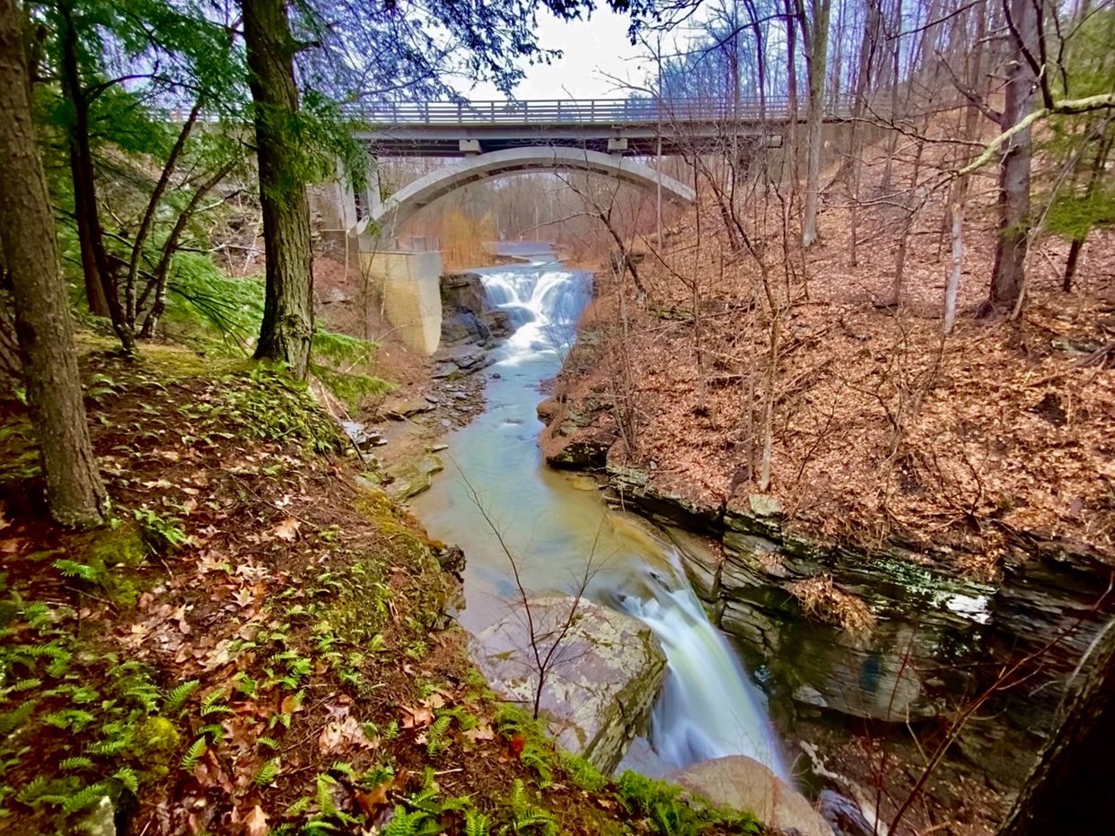 Photo by Kimberly Ruggeri