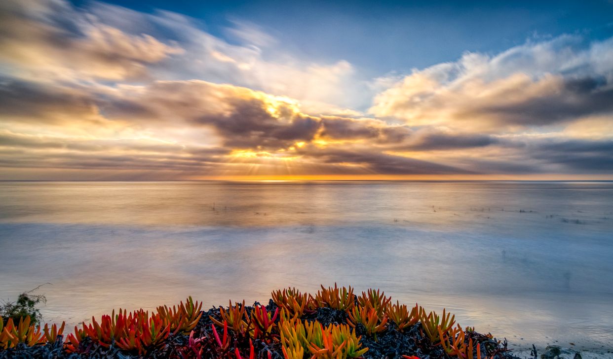 Coastal Cliff Path View