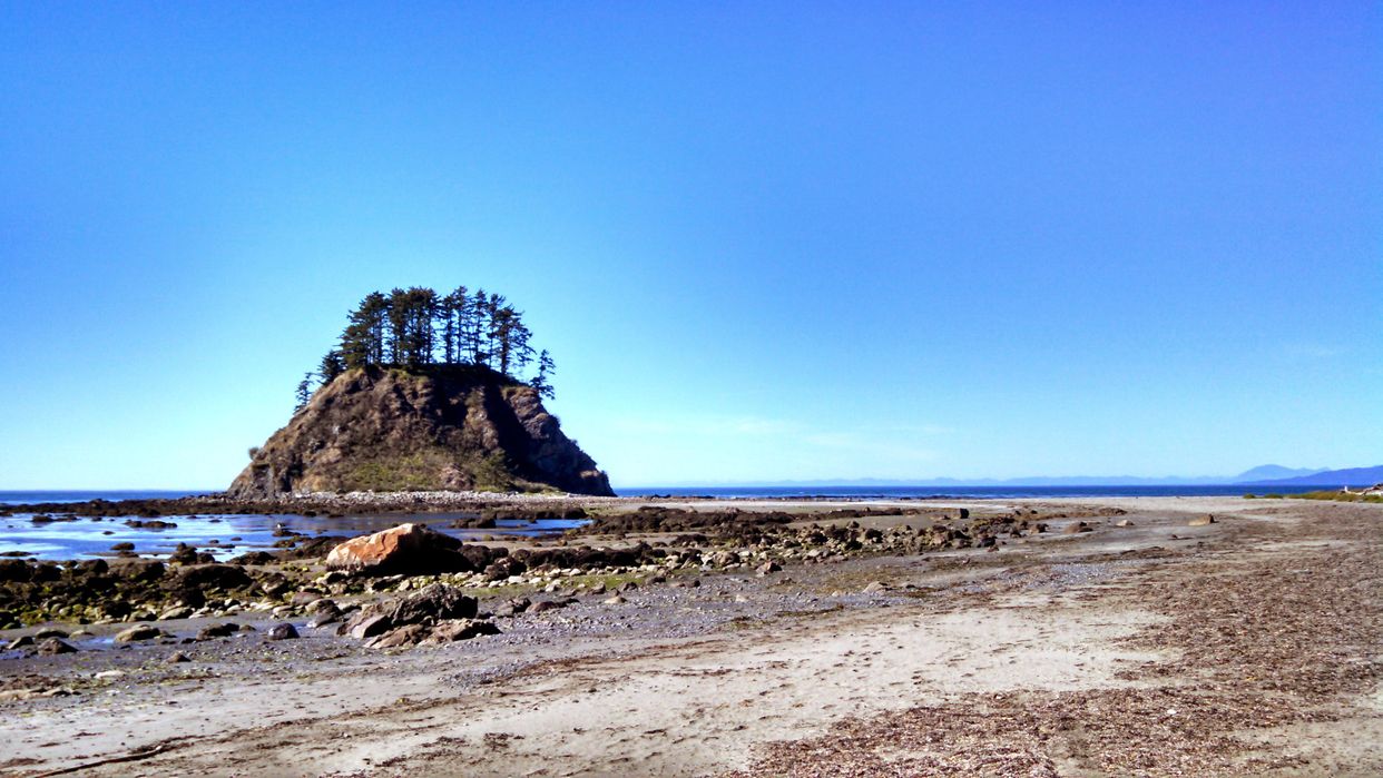 Cape Alava