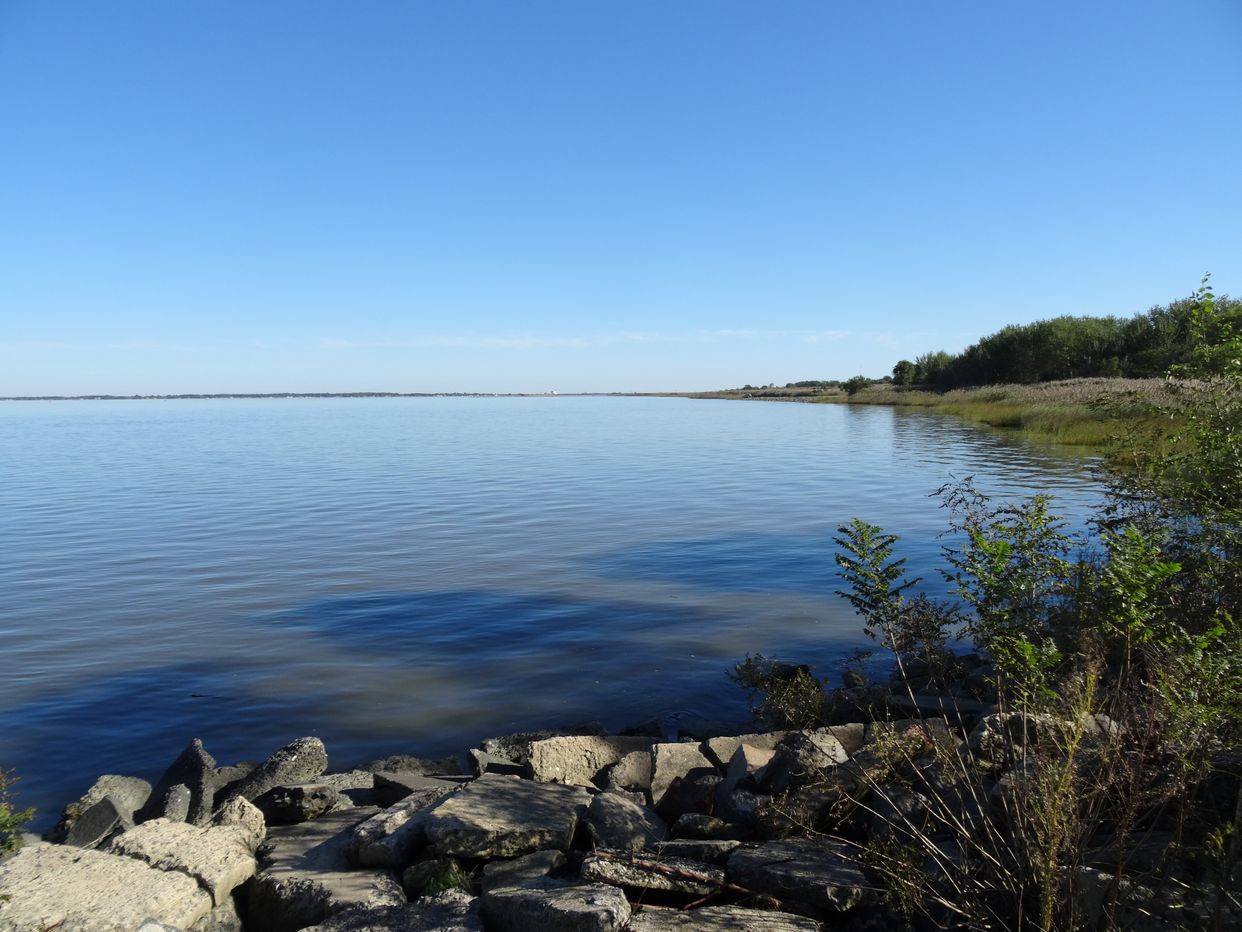 Delaware Bay