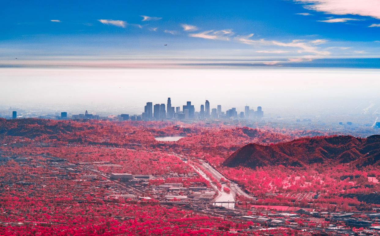 Verdugo Mtwy View