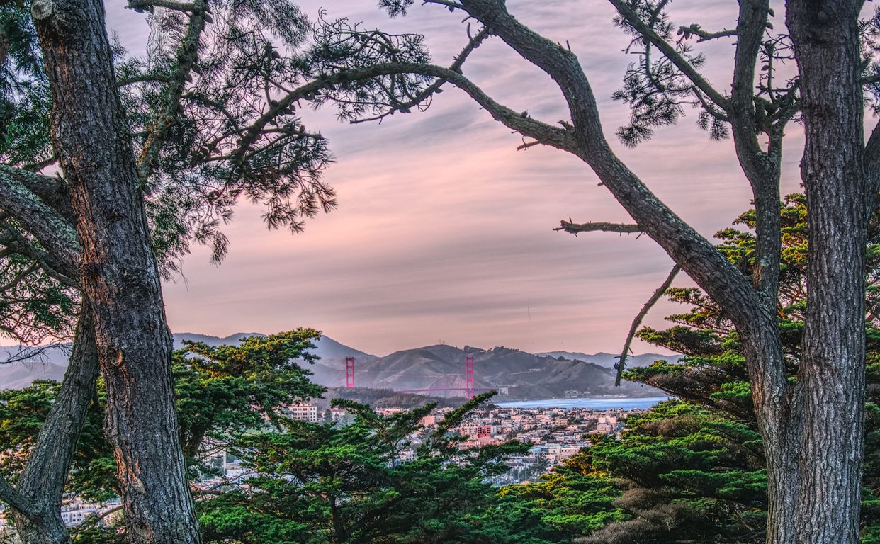 Buena Vista Park