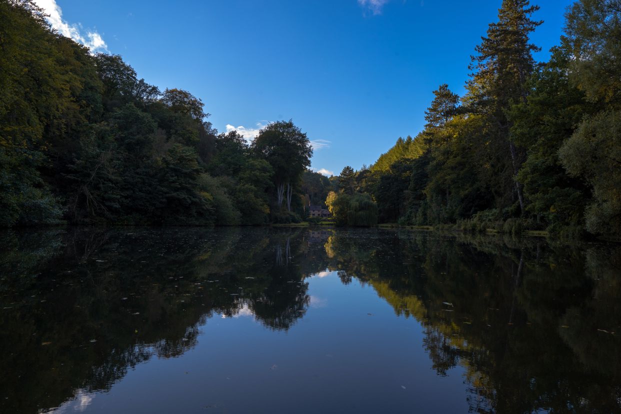 Dimmingsdale