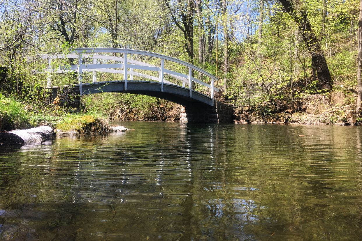 Little Bridge