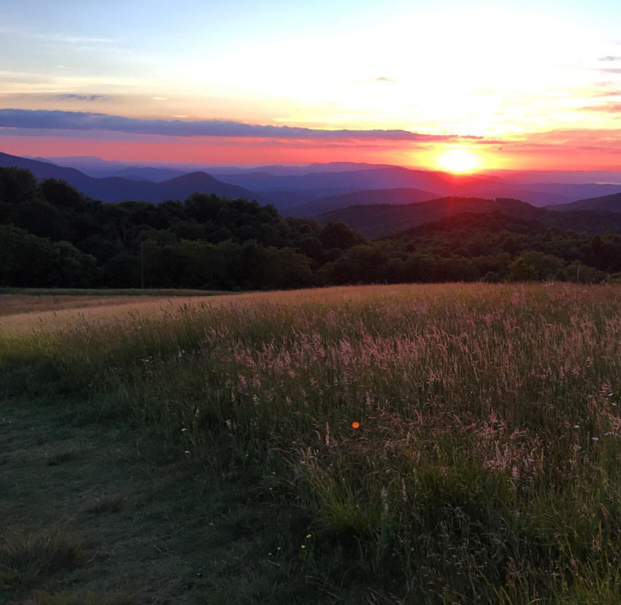 Max Patch Mountain  — Photo by instagram.com/hollymatheson