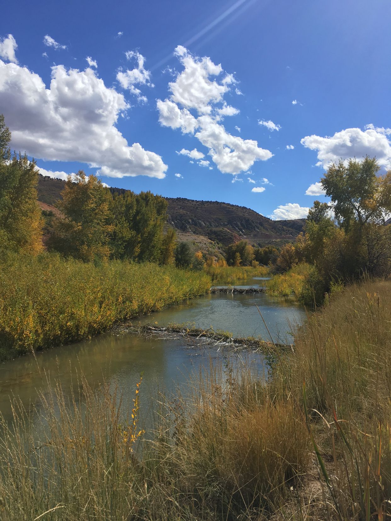 Spanish Fork River