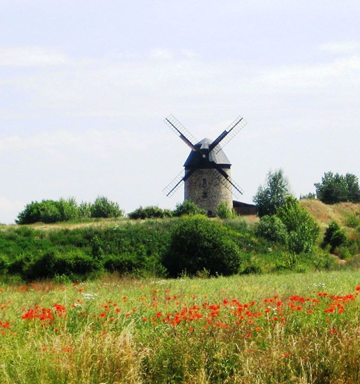 Warnstedter Mühle