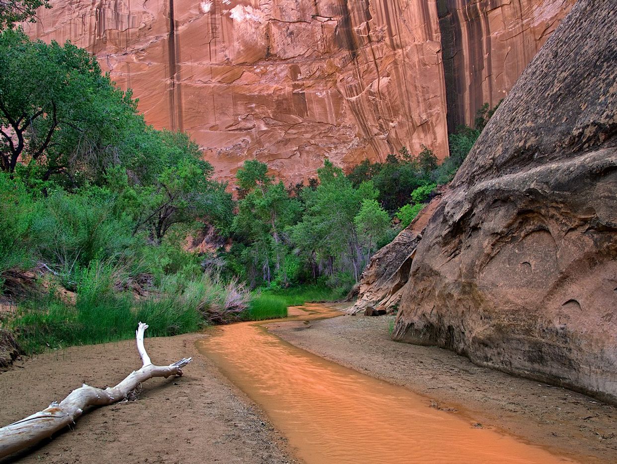 Coyote Creek 