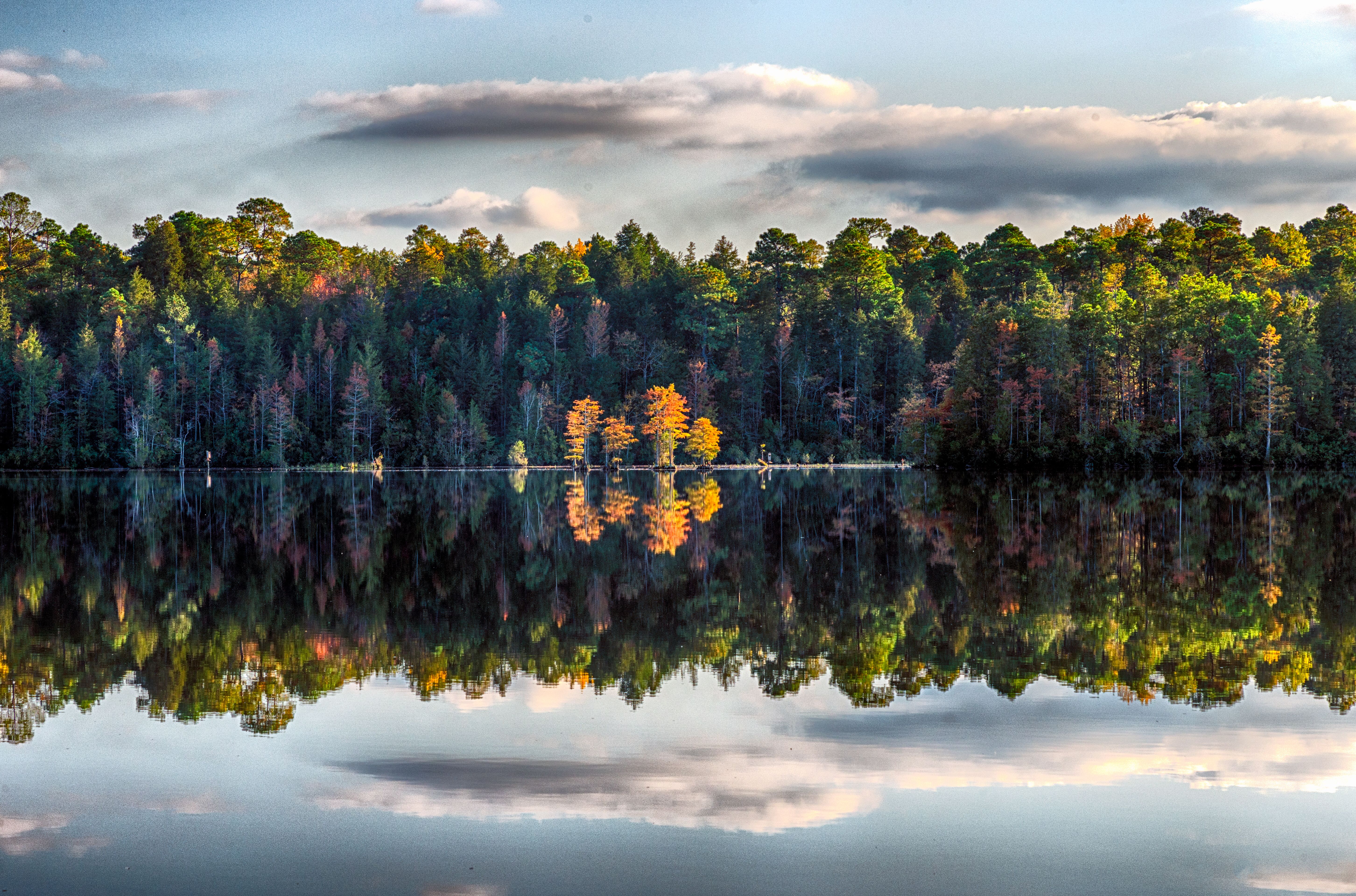 Lake Juniper — Photo by christophernealphotography.com