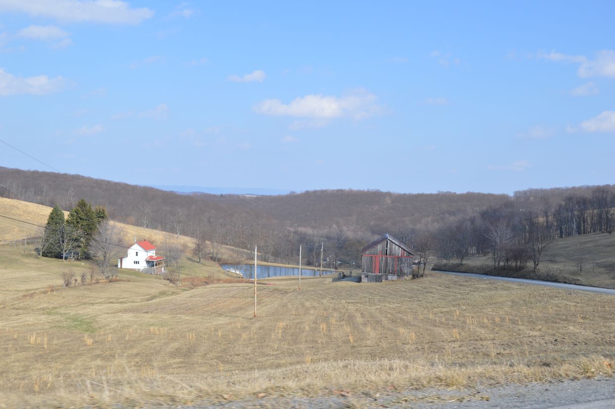 Scenic Homestead