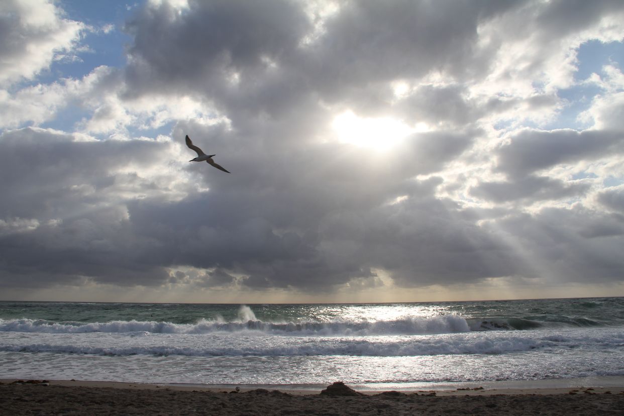 Pompano Beach 