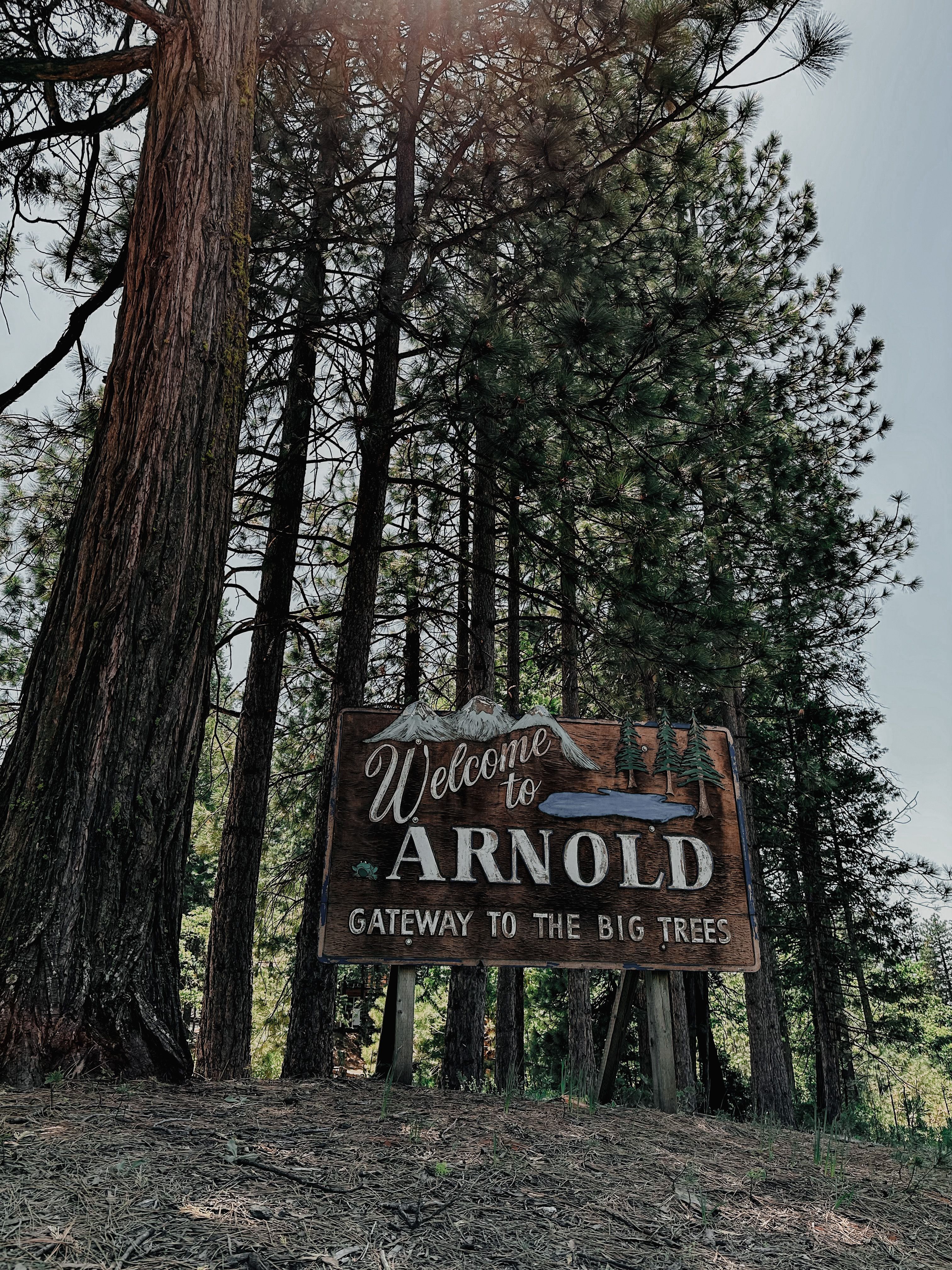 Welcome to Arnold Sign — Photo by chris Alvarado