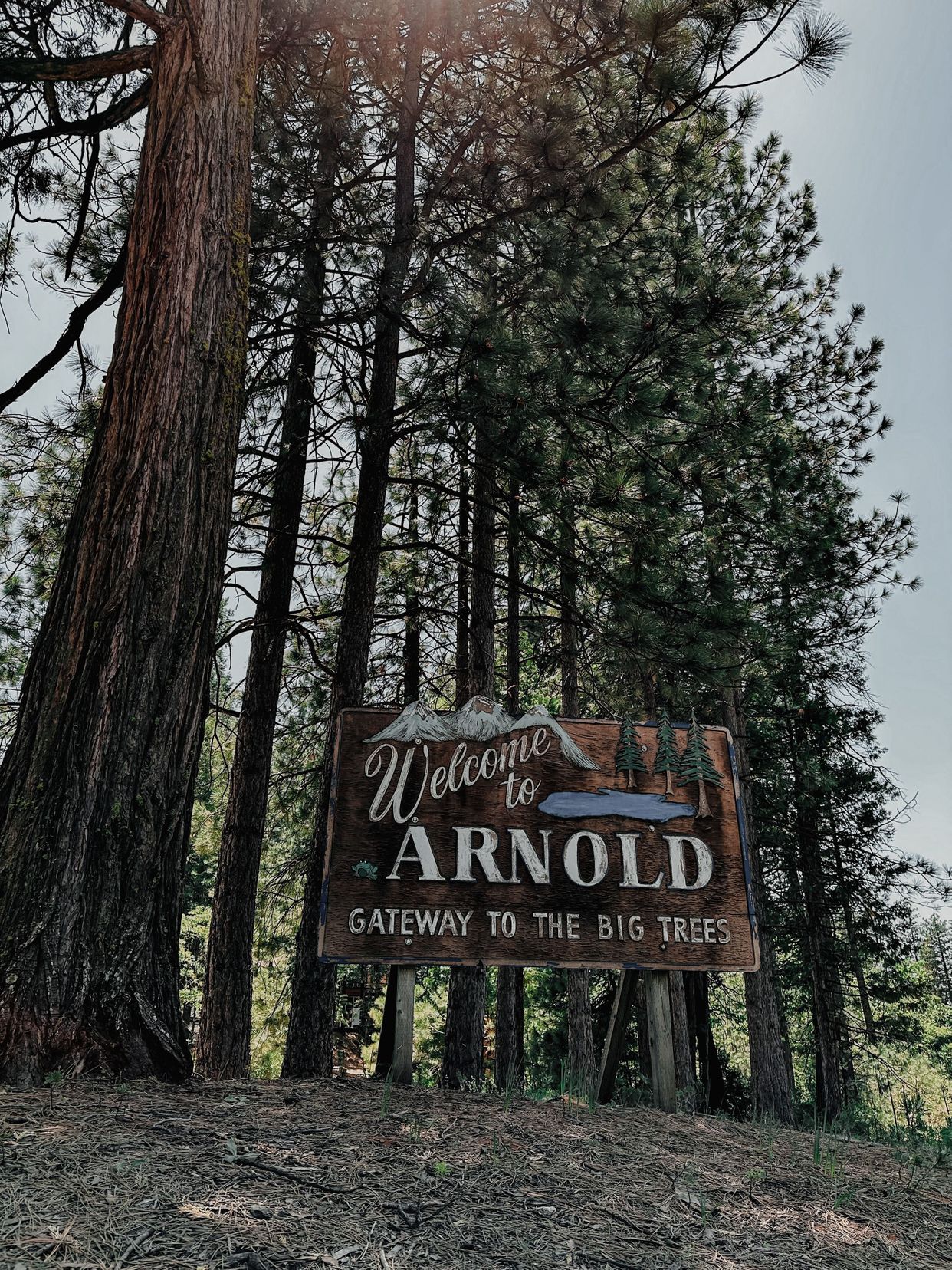 Welcome to Arnold Sign