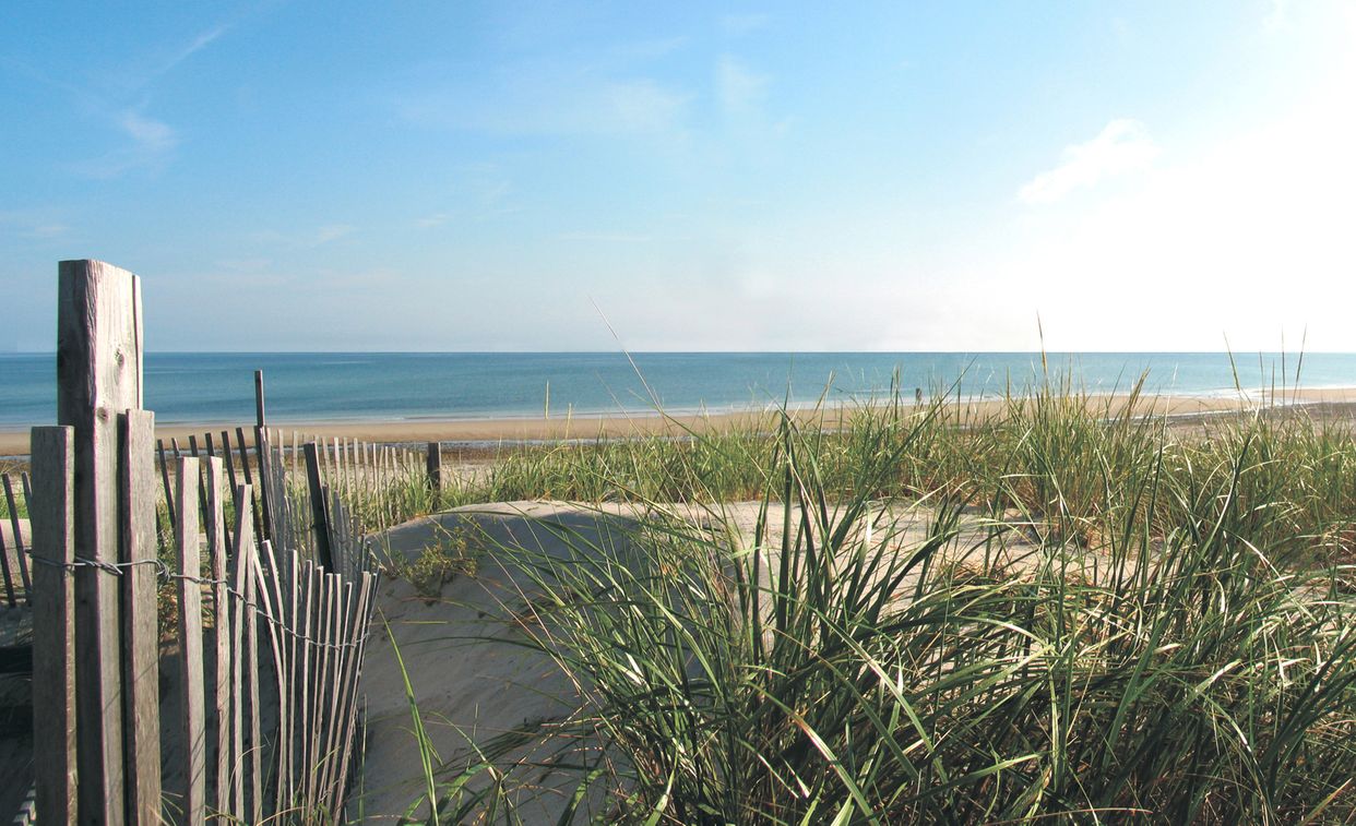 Coast Guard Beach