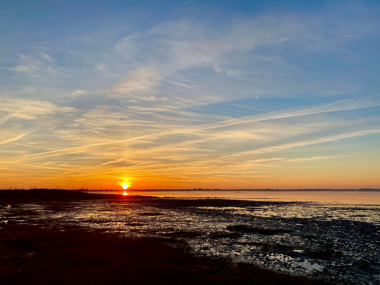 Strand Dangast