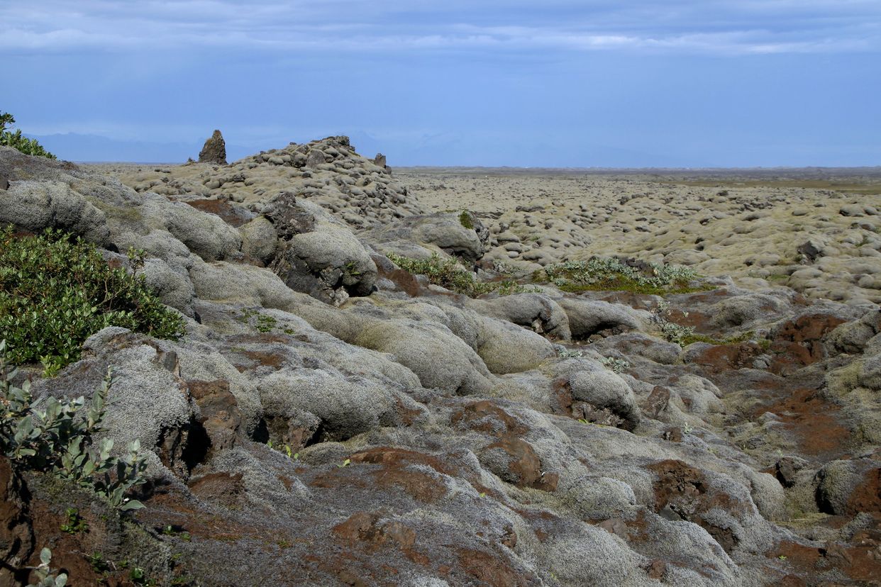 Eldhraun Lava Field