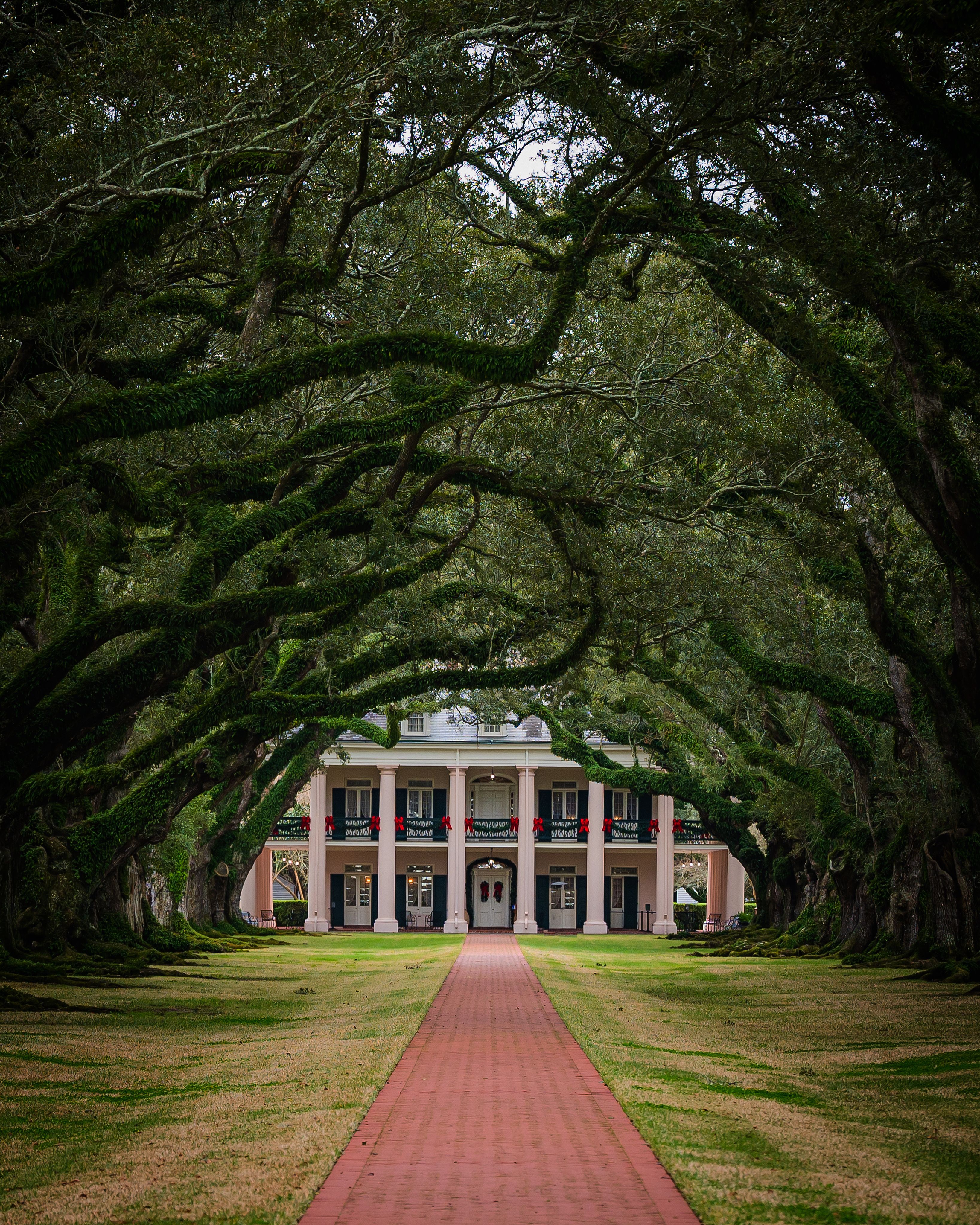 Oak Alley Plantation — Photo by scarter-photography.com