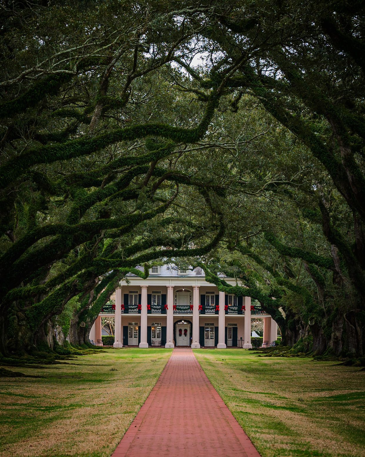 Oak Alley Plantation