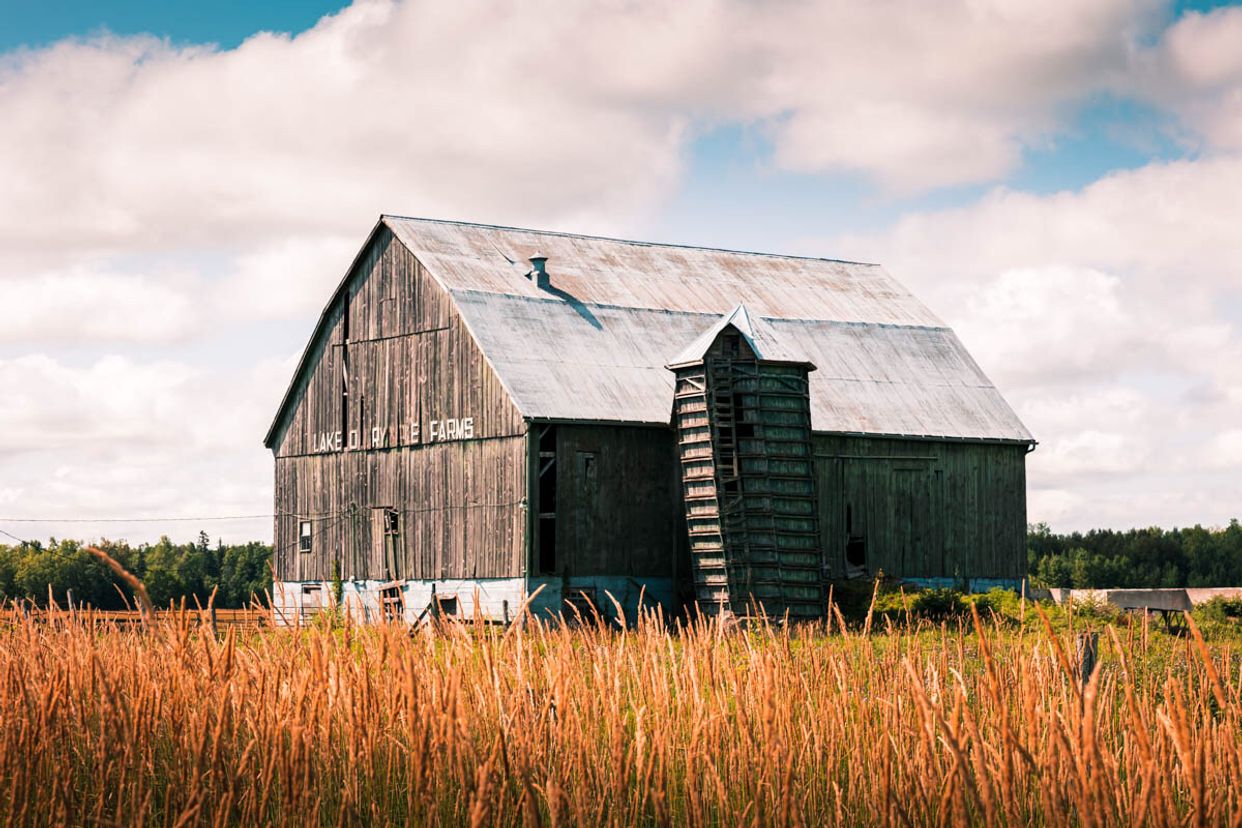 Lake Darymple Farms Old Barn