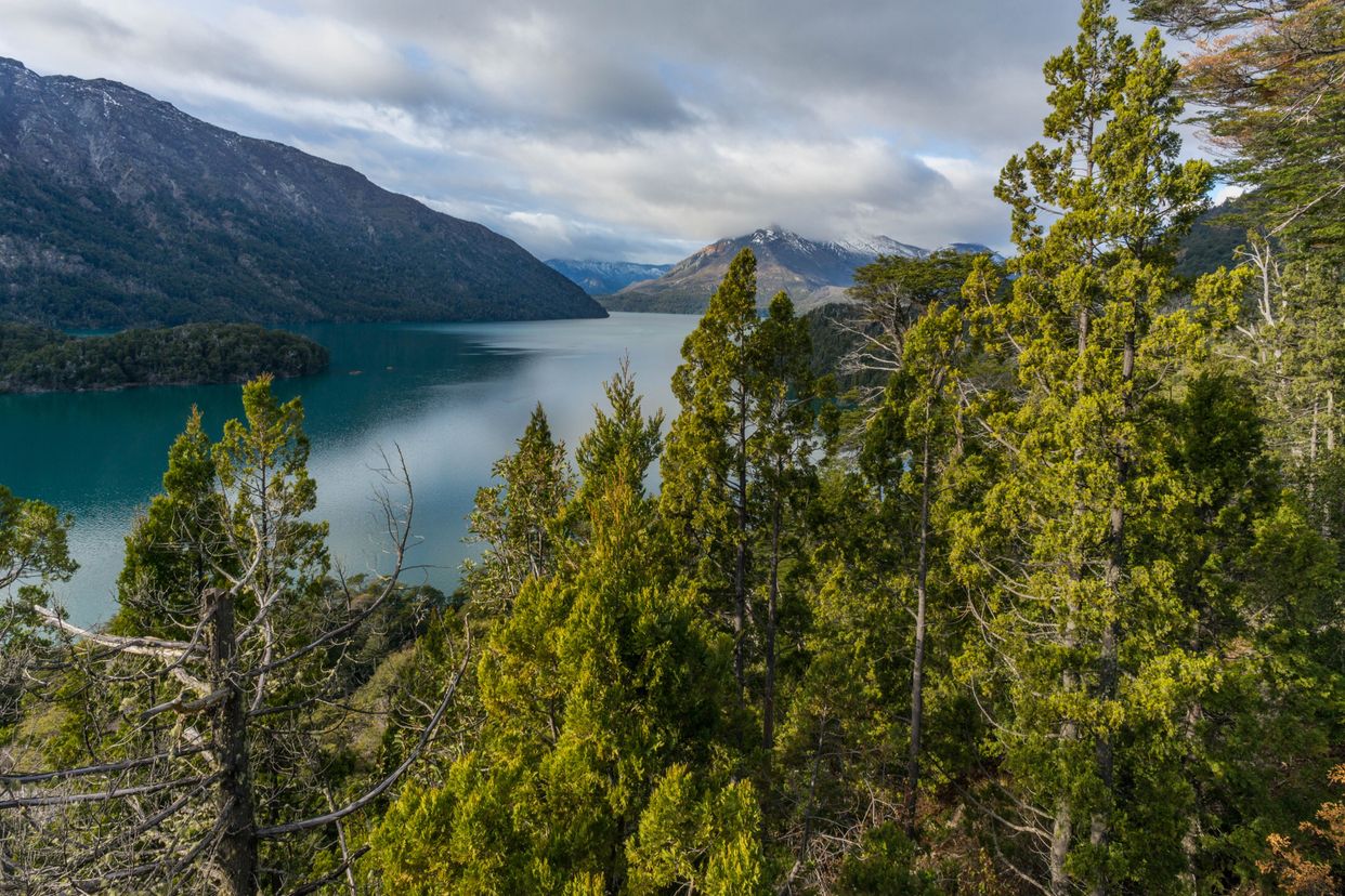 Mascardi Lake