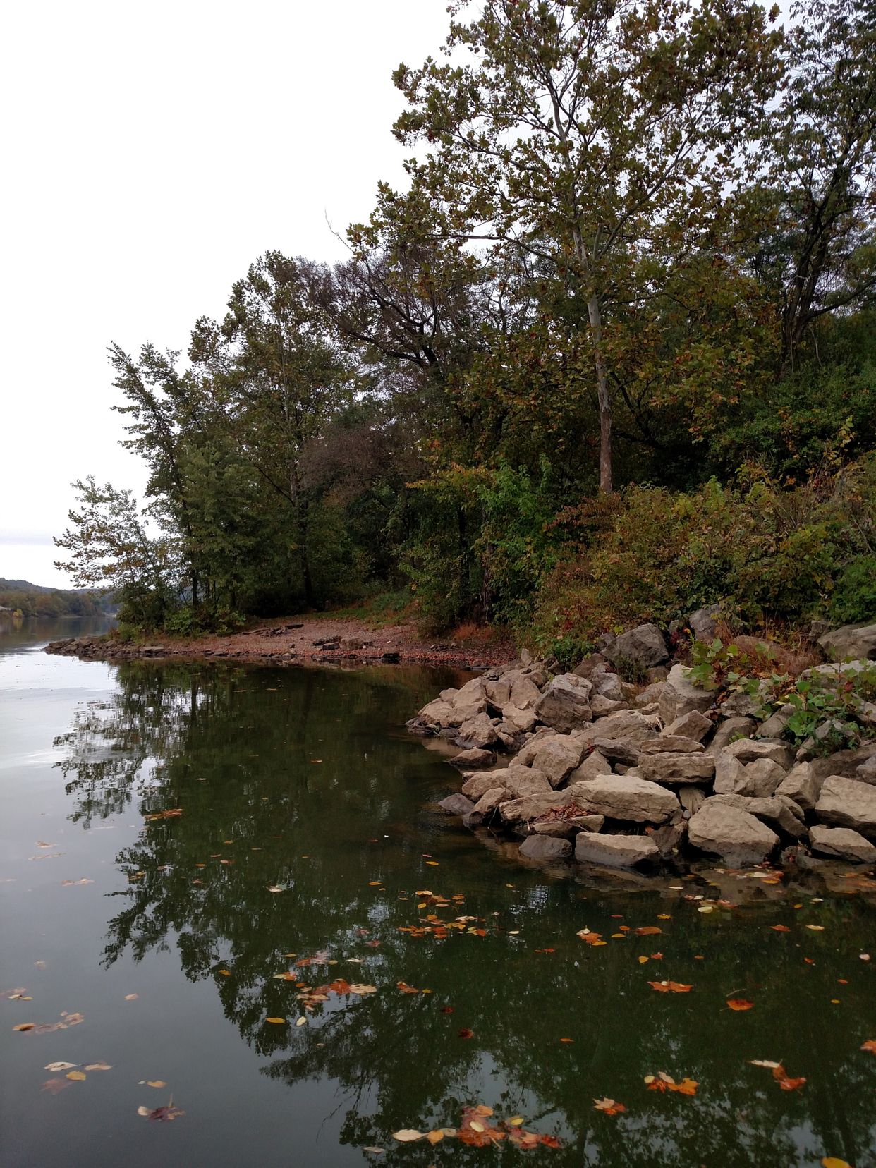 Alleghent River