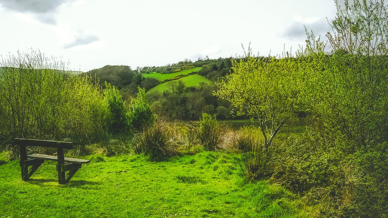 Ness Country Park