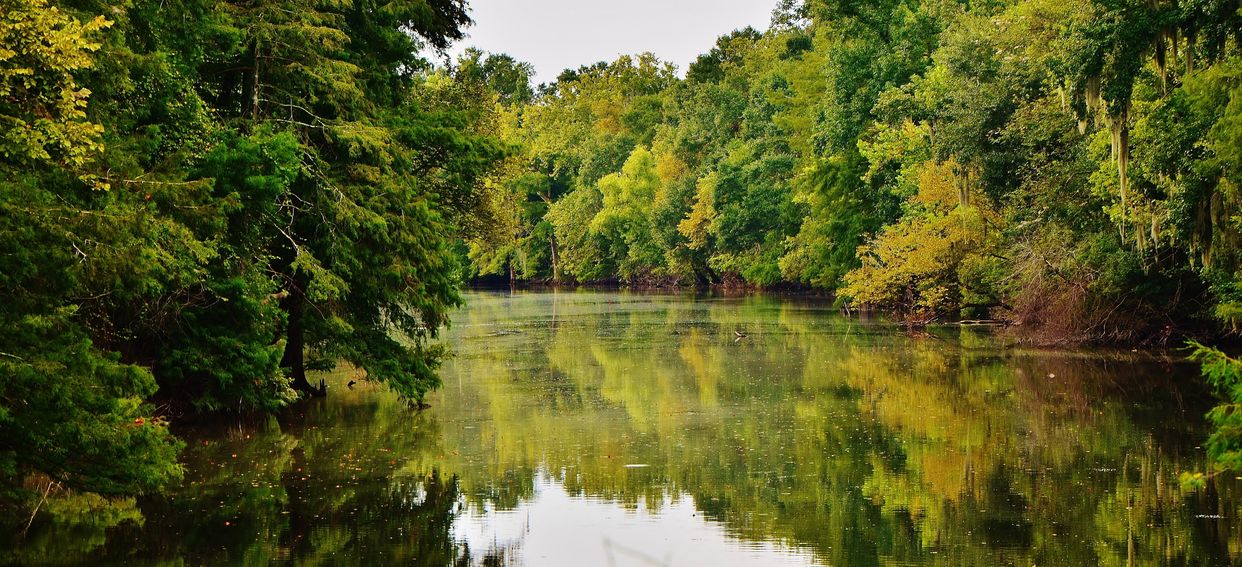 Little Alabama Bayou
