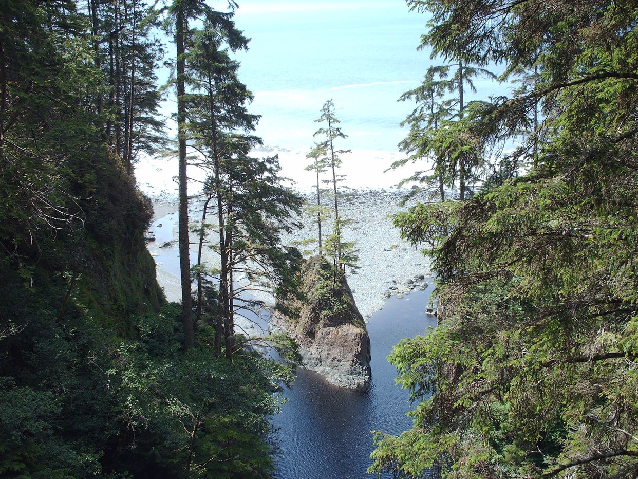 Island in Loss Creek