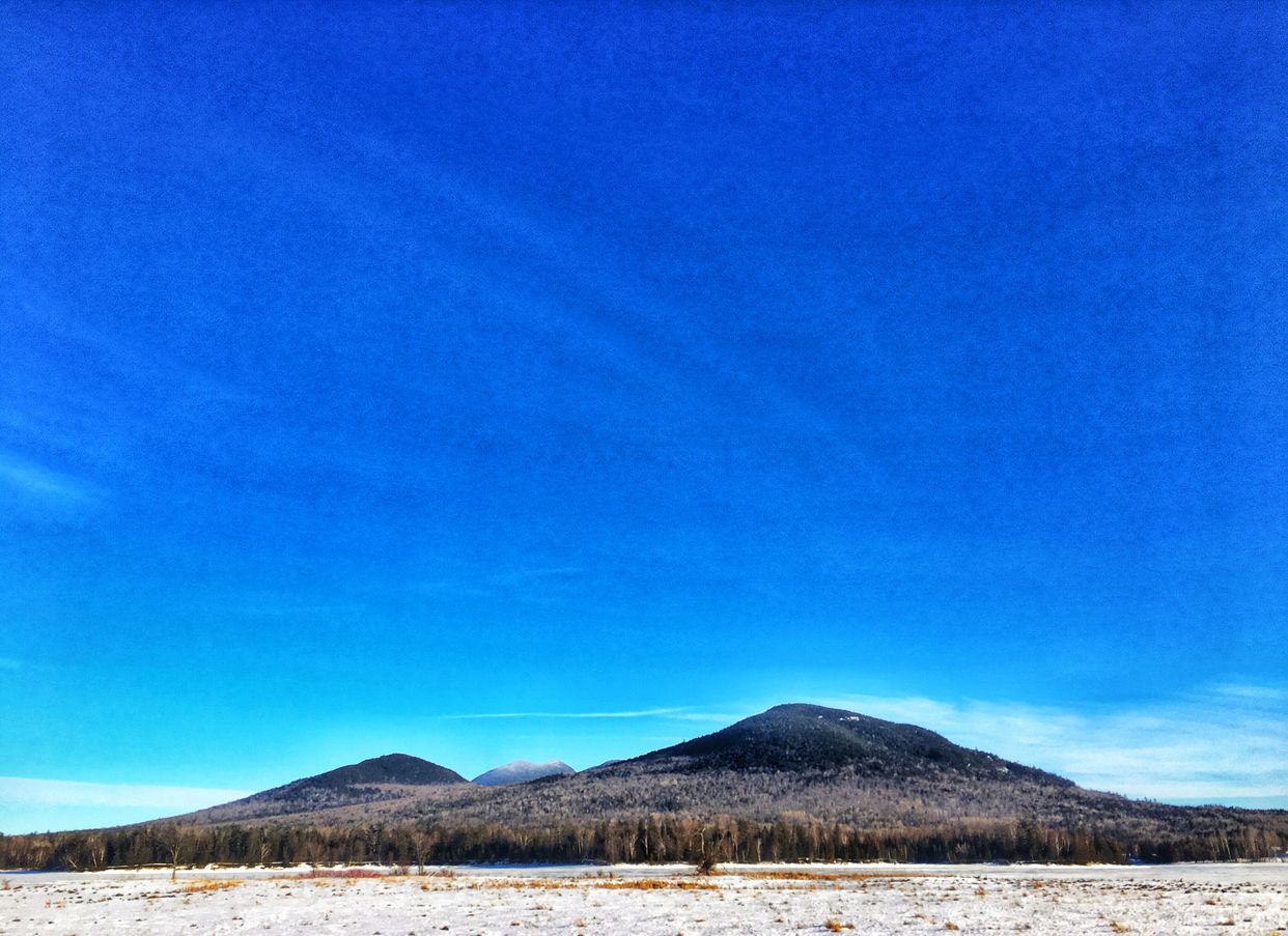 Bigelow Preserve View