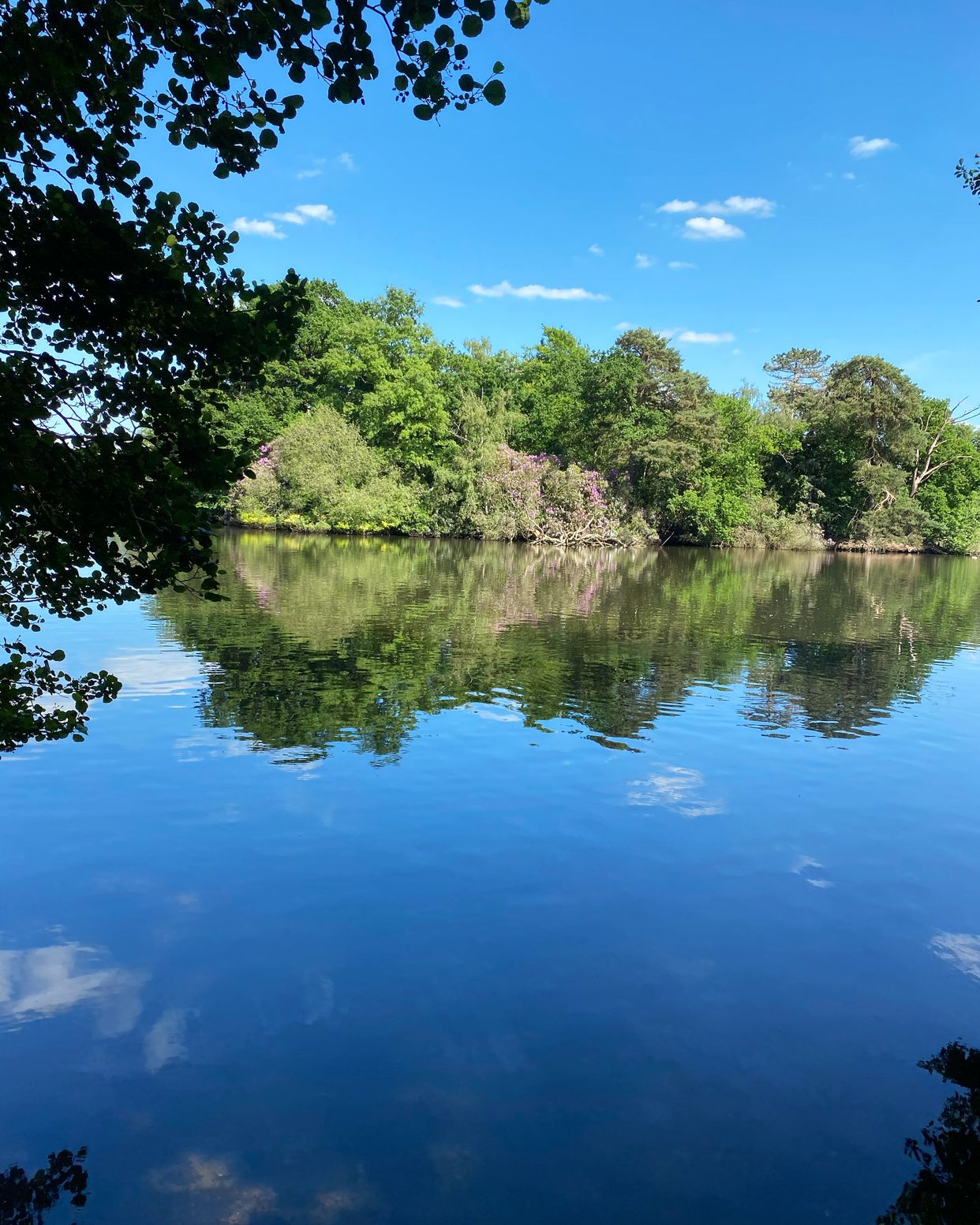 Hartsholme Country Park