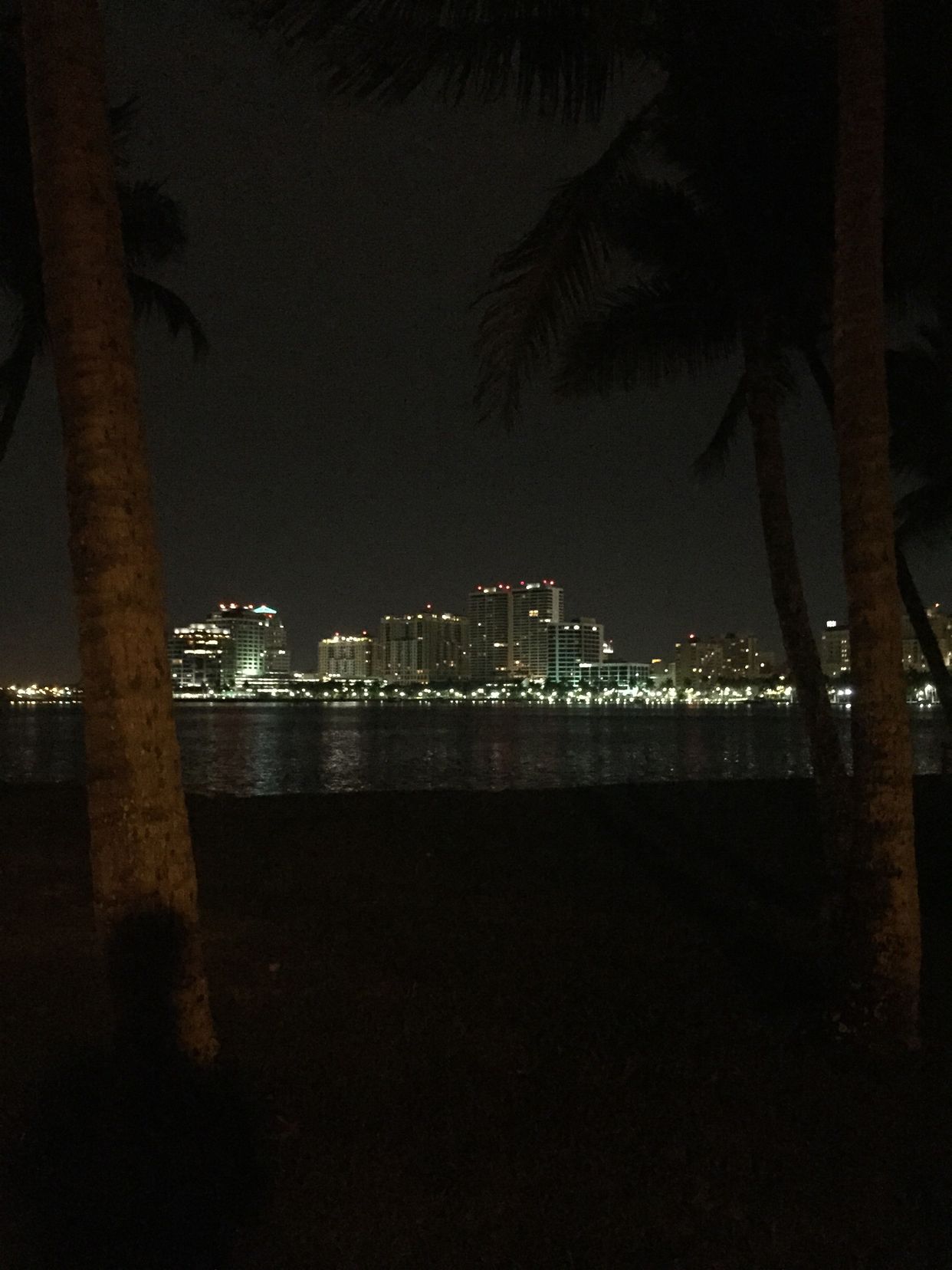 Lake Trail View