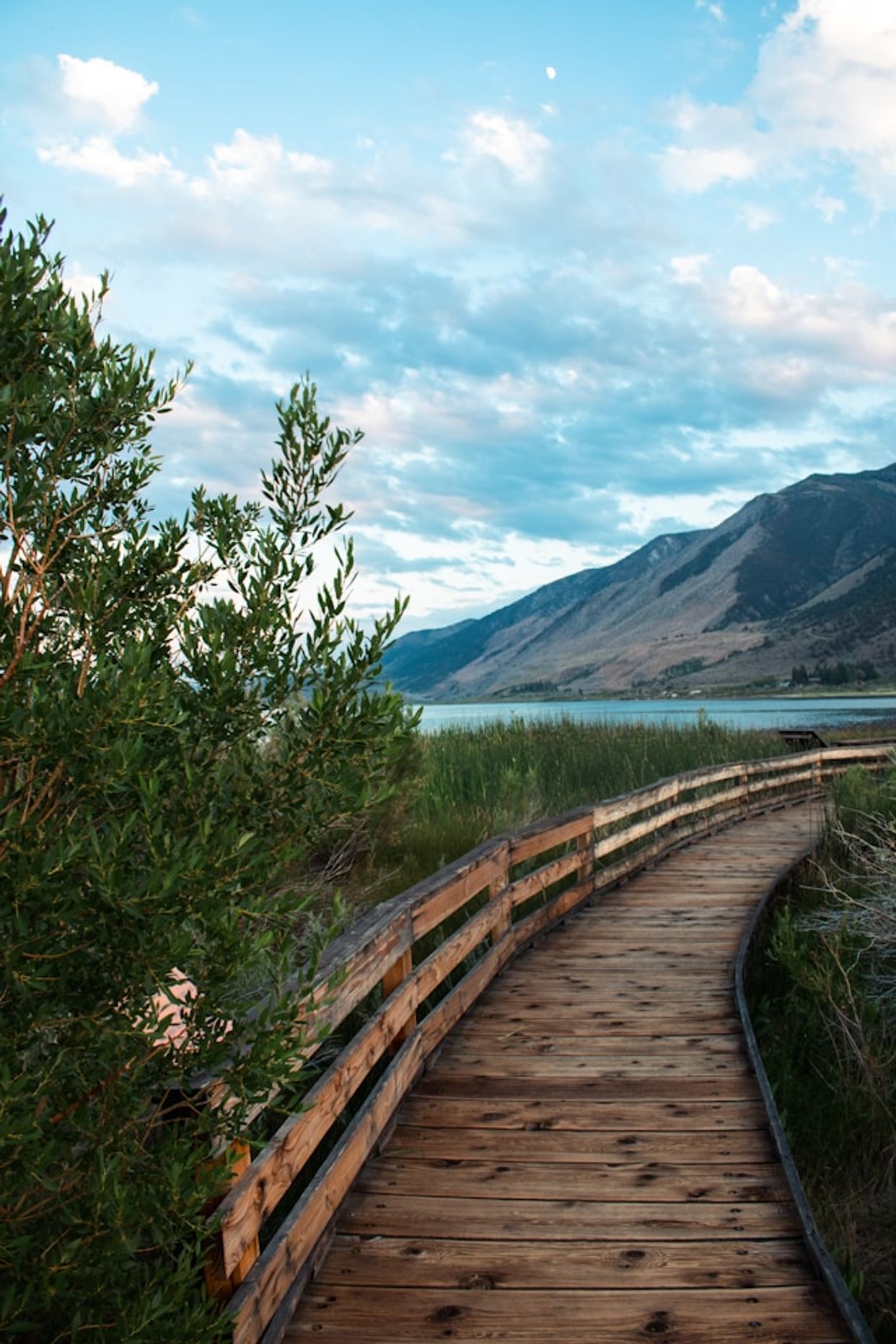 Boardwalk Trail, Mono Lake Park